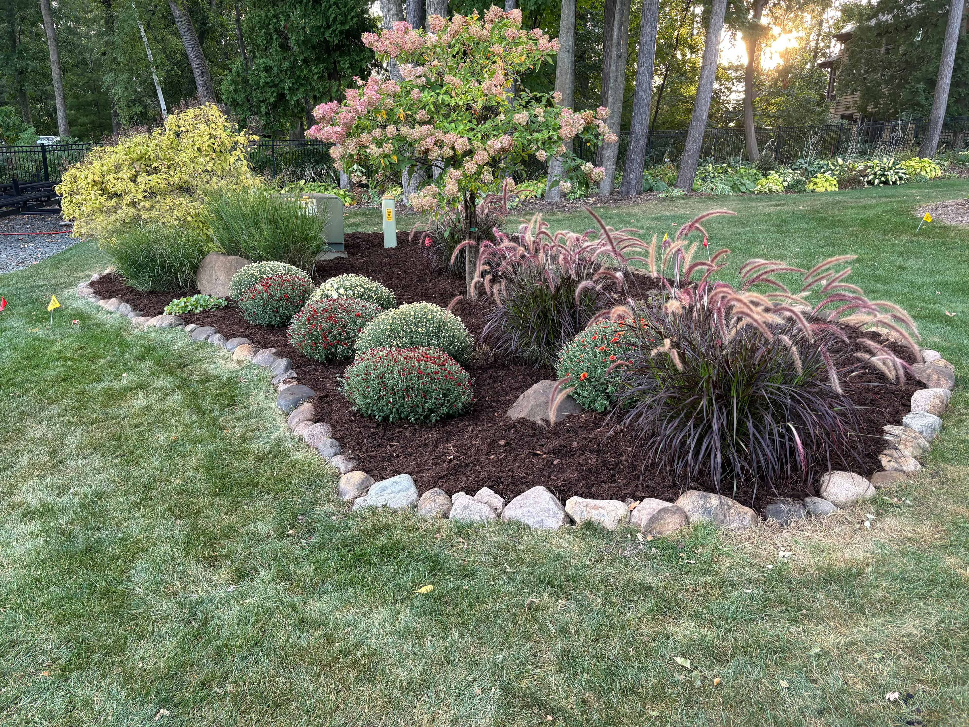 Landscape Maintenance and Renovation image