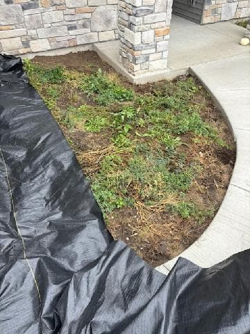 Rock Bed Landscaping Transformation image